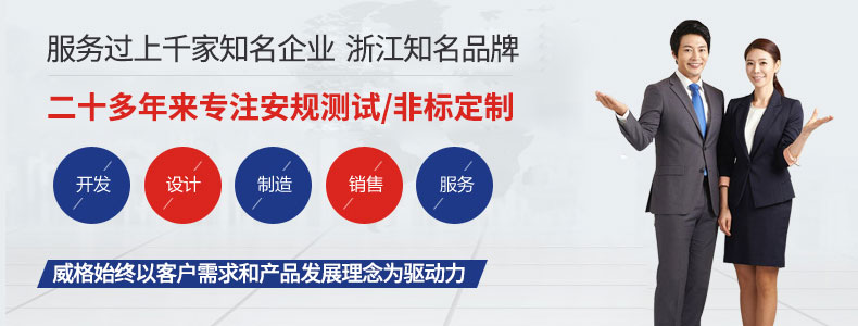 威格新能源電動汽車驅動電機定子測試臺 性能耐久測試臺架 型式試驗系統插圖16